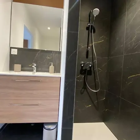 Apartment 40m² Cosy Neuf Garage Prive / Pasteur *